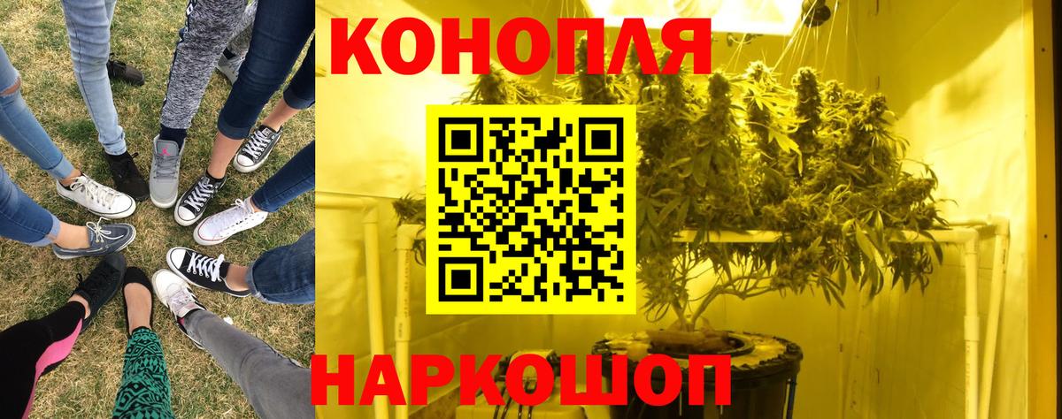 Конопля ГИДРОПОН  Вход с VPN  Бошки Шишки Bruce Banner  МАРИХУАНА Amnesia  Кирово-Чепецк 
